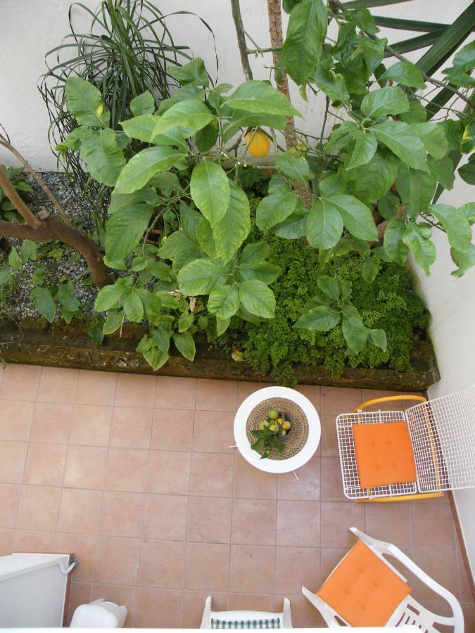 Il Cedrangolo House モノーポリ エクステリア 写真